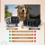 Projektor Homezie Beamer 4K