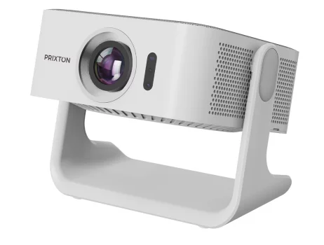 Image Prixton Renoir