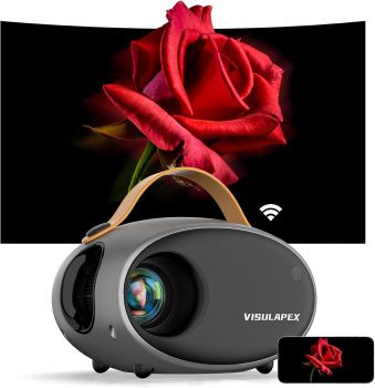 Image VISULAPEX V2